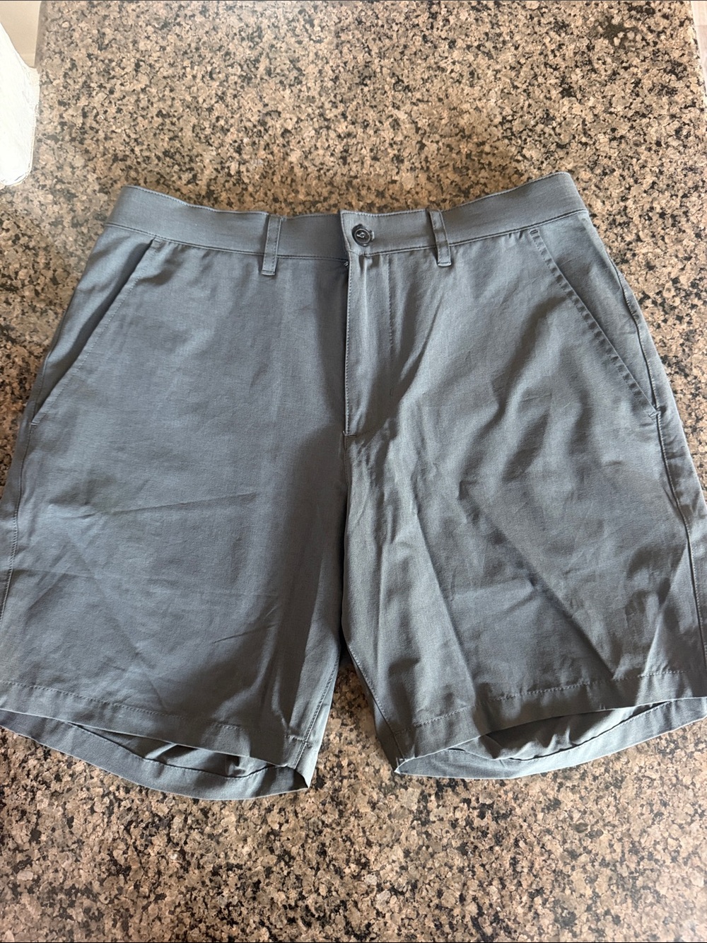 Marine Layer Men's Casual Gray shorts